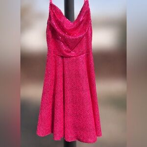 Sparkling Pink Dress (Large)